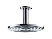 Душевая лейка для душа Hansgrohe Raindance, с..