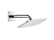 Тропический душ со стены Hansgrohe Raindance ..