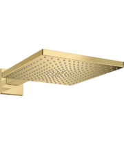 Верхний душ Hansgrohe Raindance Е 300, 1 jet, 26238990