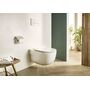 Сидение для унитаза Roca Meridian Slim Soft Close, 78012B2002