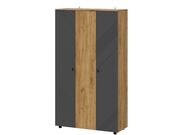 Шкаф NN Мебель (МС Байкал К) Дуб Золотой/Граф..